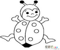 七星瓢虫简笔画：七星瓢虫的画法